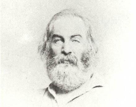 circa 1862 photograph of Walt Whitman, by Alexander Gardner or Mathew Brady
